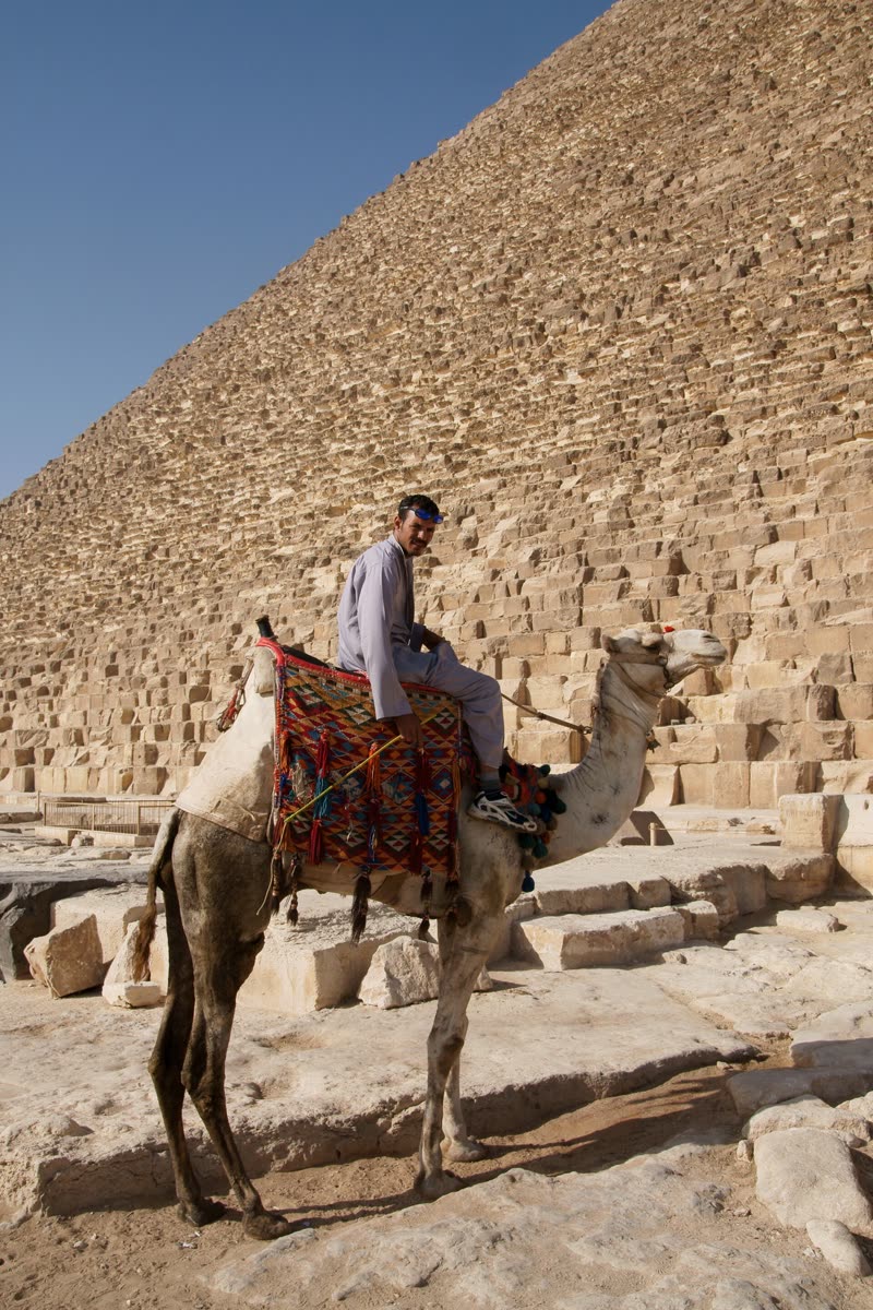 Un chamelier au pied d'une des pyramides : regarde la taille des blocs !